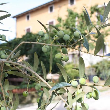 B&B Al Frantoio Κιούζι Εξωτερικό φωτογραφία