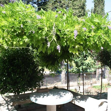 B&B Al Frantoio Κιούζι Εξωτερικό φωτογραφία